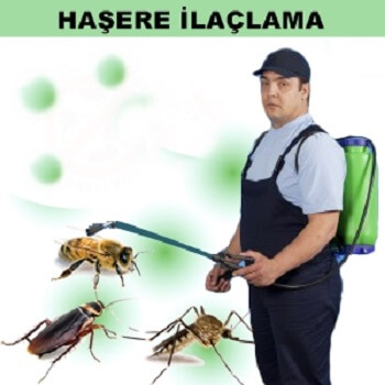 Çandarlı Böcek İlaçlama